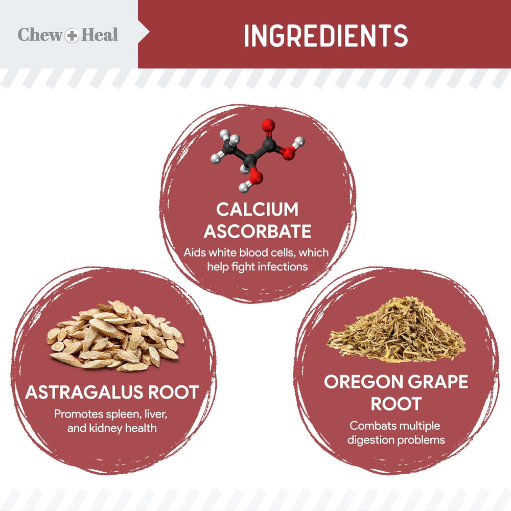 Chew + Heal Labs dog UTI cranberry soft chews packaging for convenient daily use.