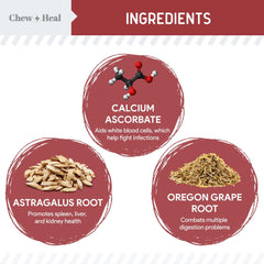 Chew + Heal Labs dog UTI cranberry soft chews packaging for convenient daily use.