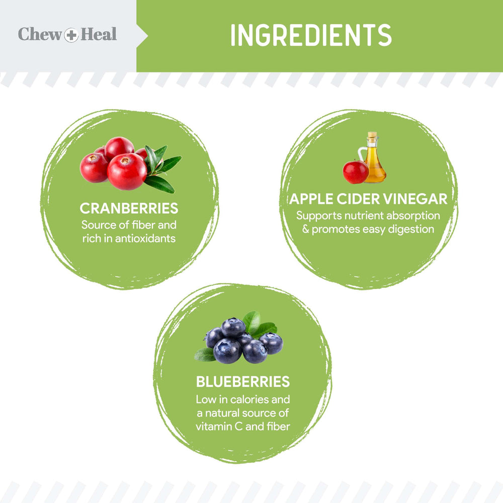 Chew + Heal Labs dried carrots and sweet potatoes emphasize beta-carotene and bone health