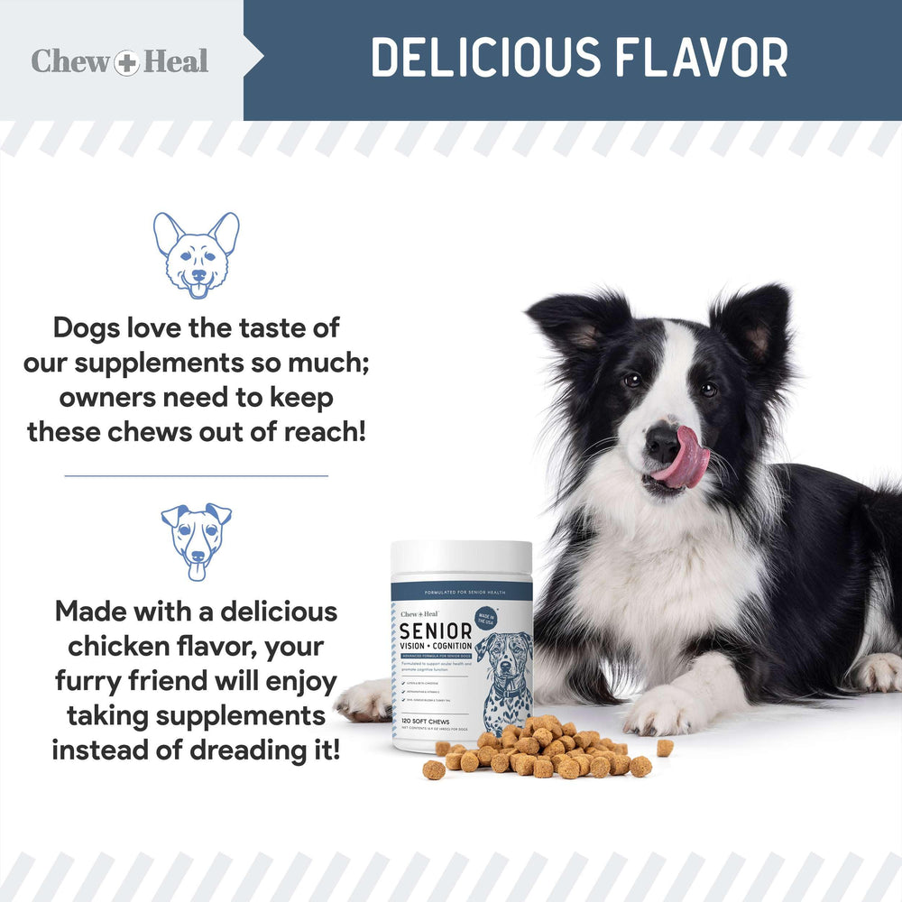 Chew Heal Labs eye health support for retinal lens health through nutrient-rich formula.