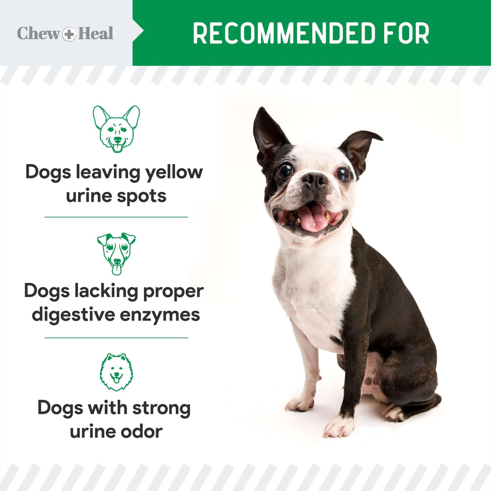 Lush green yard after use; Chew + Heal Labs supports healthier grass.