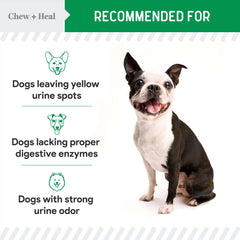 Lush green yard after use; Chew + Heal Labs supports healthier grass.