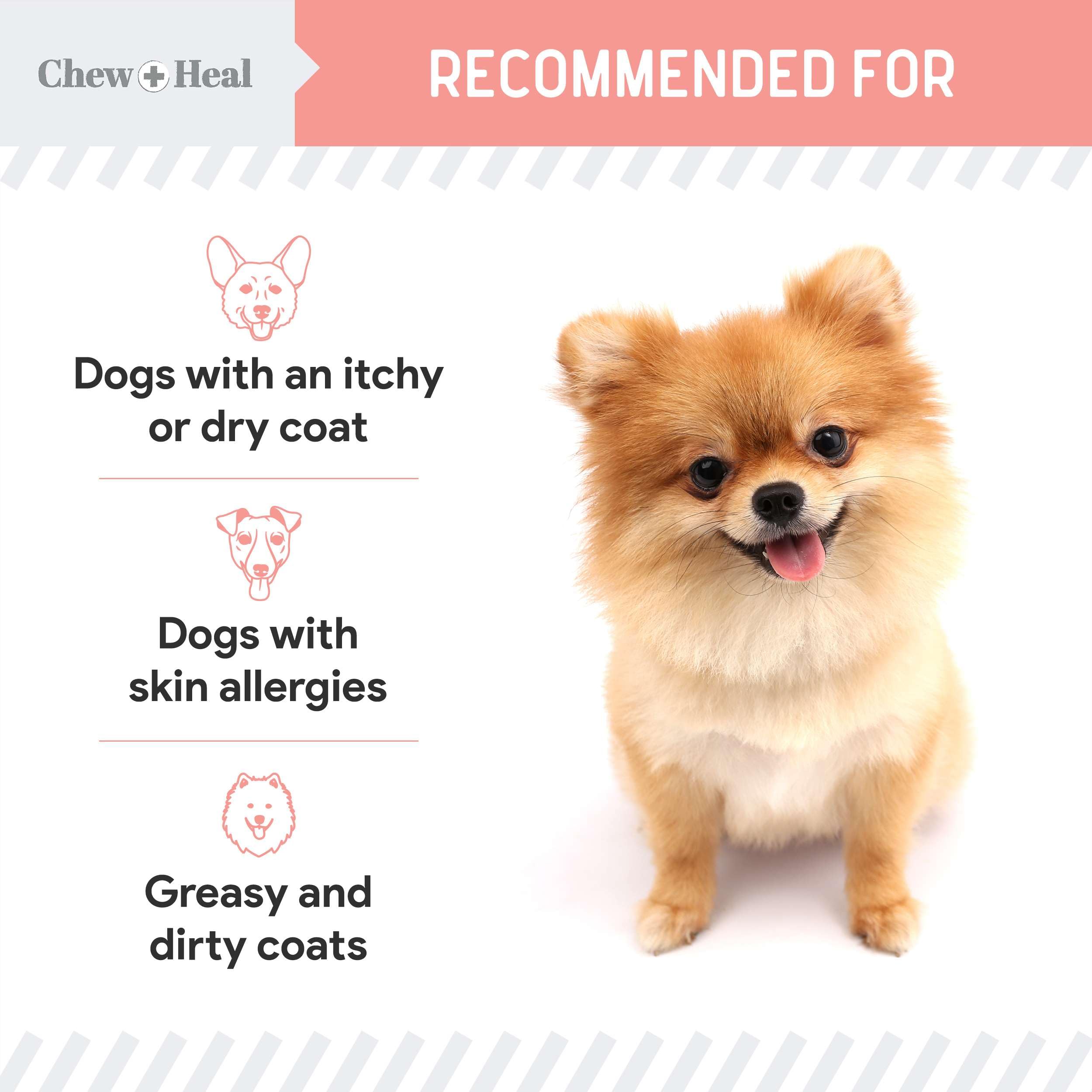 Chew + Heal Labs heart-cognitive-support-oil provides EPA and DHA for brain and heart health.