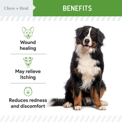 Chew + Heal Labs HOCl 8oz bottle front highlights compact, travel-ready wound care.