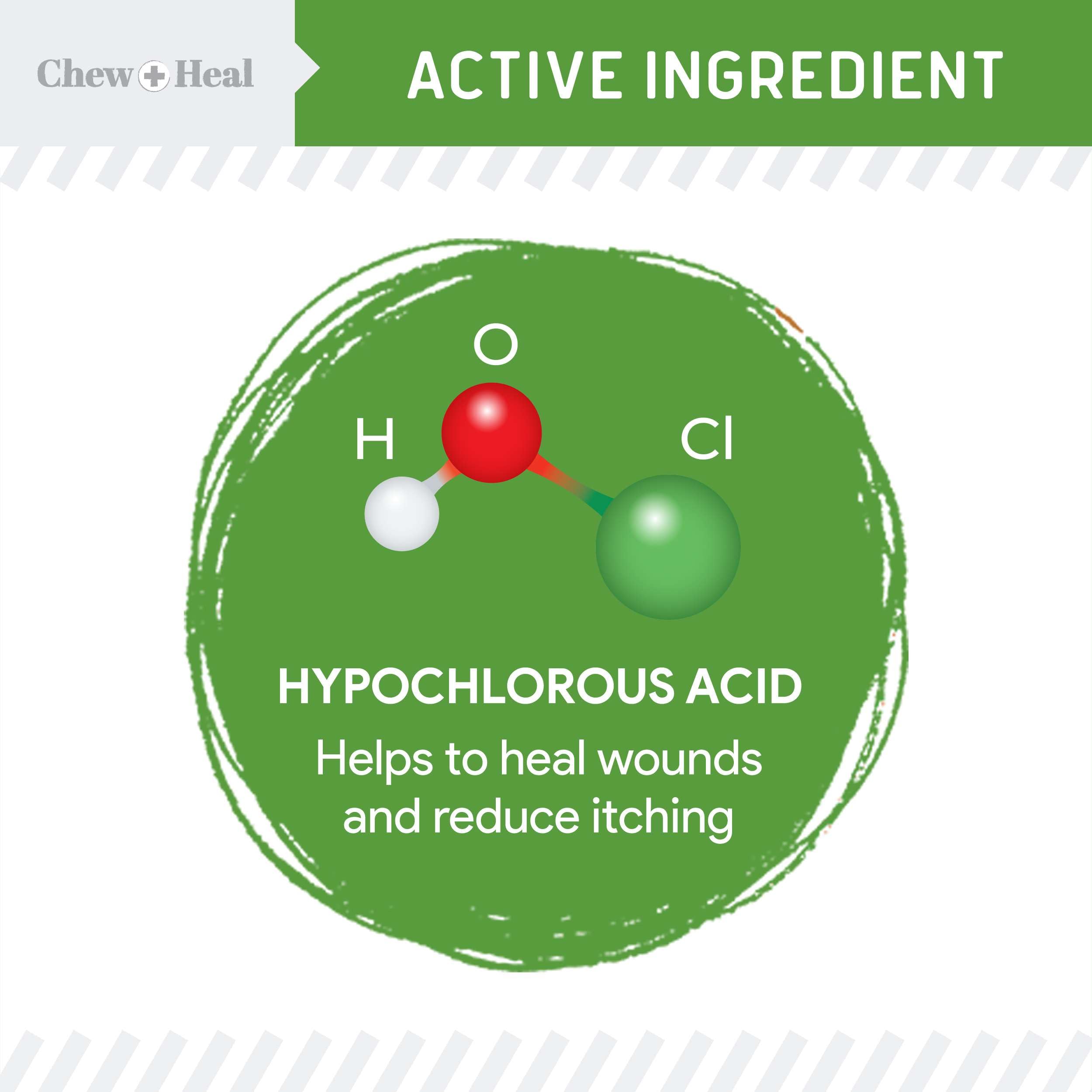 Chew + Heal Labs HOCl spray on wound application demonstrates soothing protection for dogs.