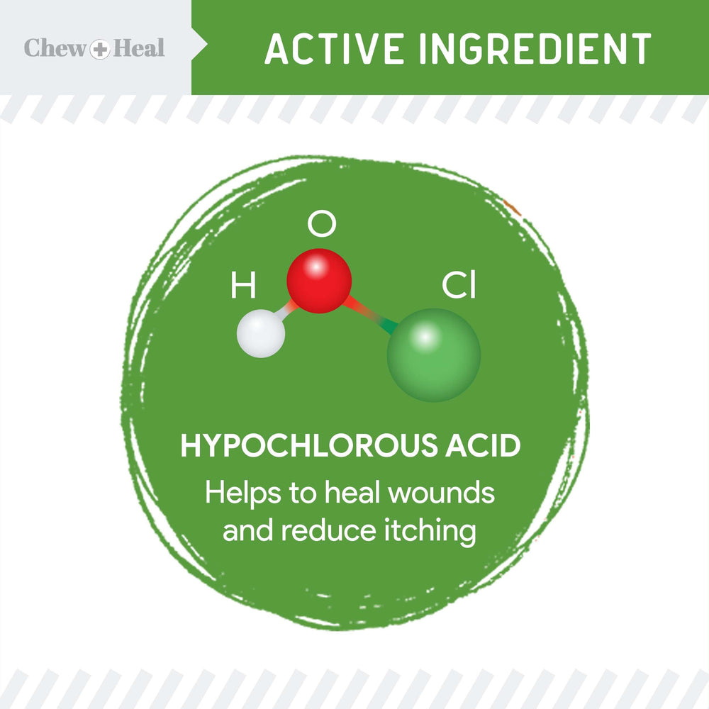 Chew + Heal Labs HOCl spray on wound application demonstrates soothing protection for dogs.