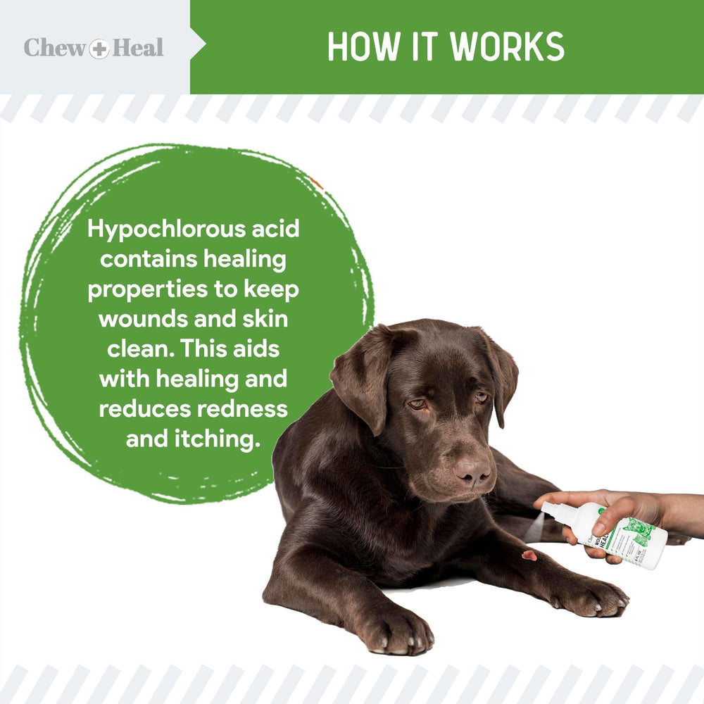 Chew + Heal Labs HOCl solution label emphasizes non-toxic, chemical-free dog first aid.