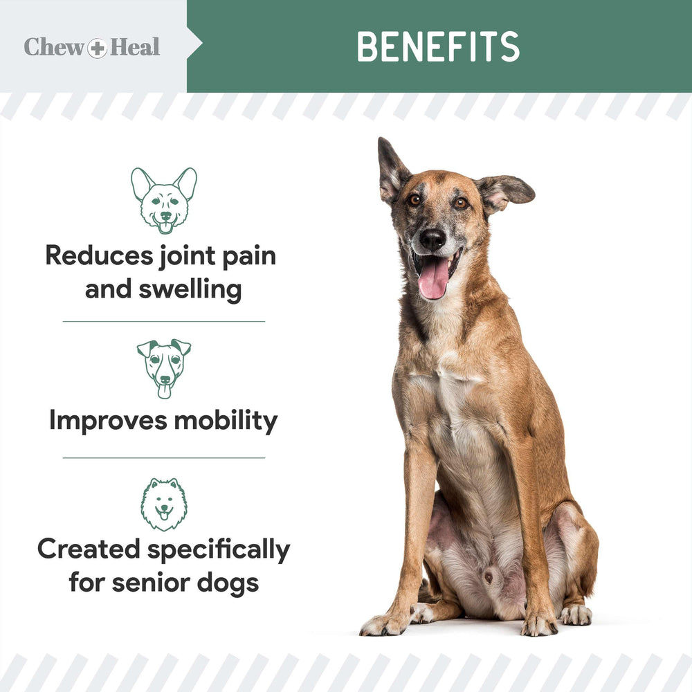 Chew + Heal Labs hyaluronic acid image communicates joint lubrication and cushioning.