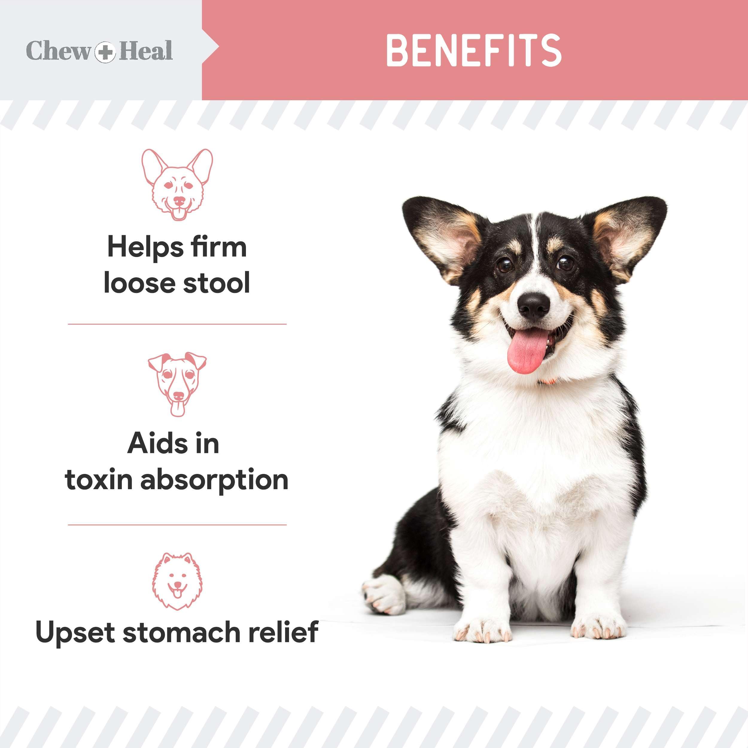 Chew + Heal Labs kaolin pectin formula graphic highlights toxin absorption and stool management
