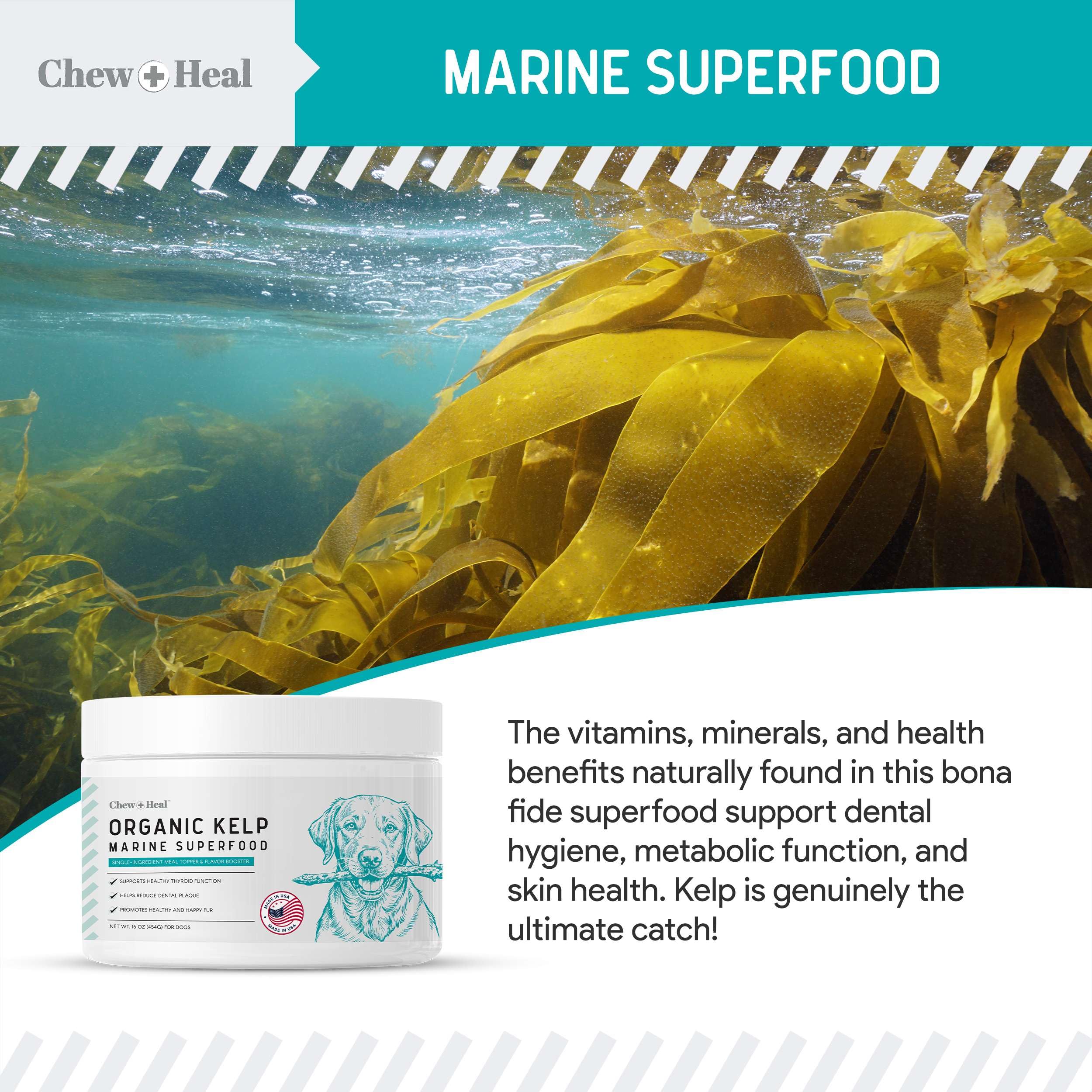Chew + Heal Labs kelp powder measure-spoon scene demonstrates precise dosing.