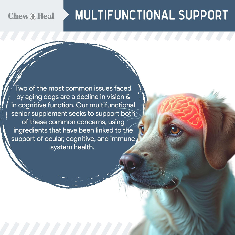 Chew Heal Labs lutein and astaxanthin protect eyes from oxidative stress.