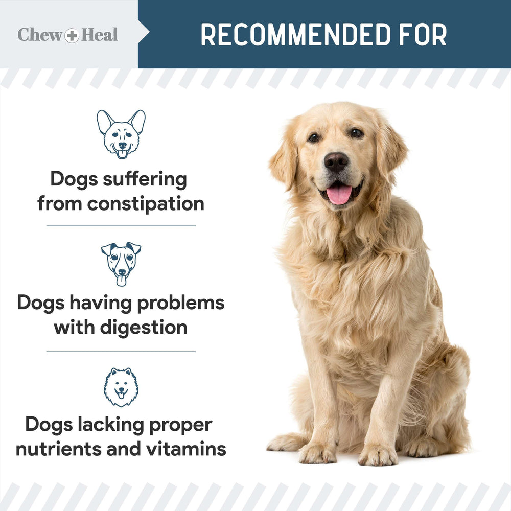 Chew + Heal Labs USA-made packaging showcases premium digestive formula.