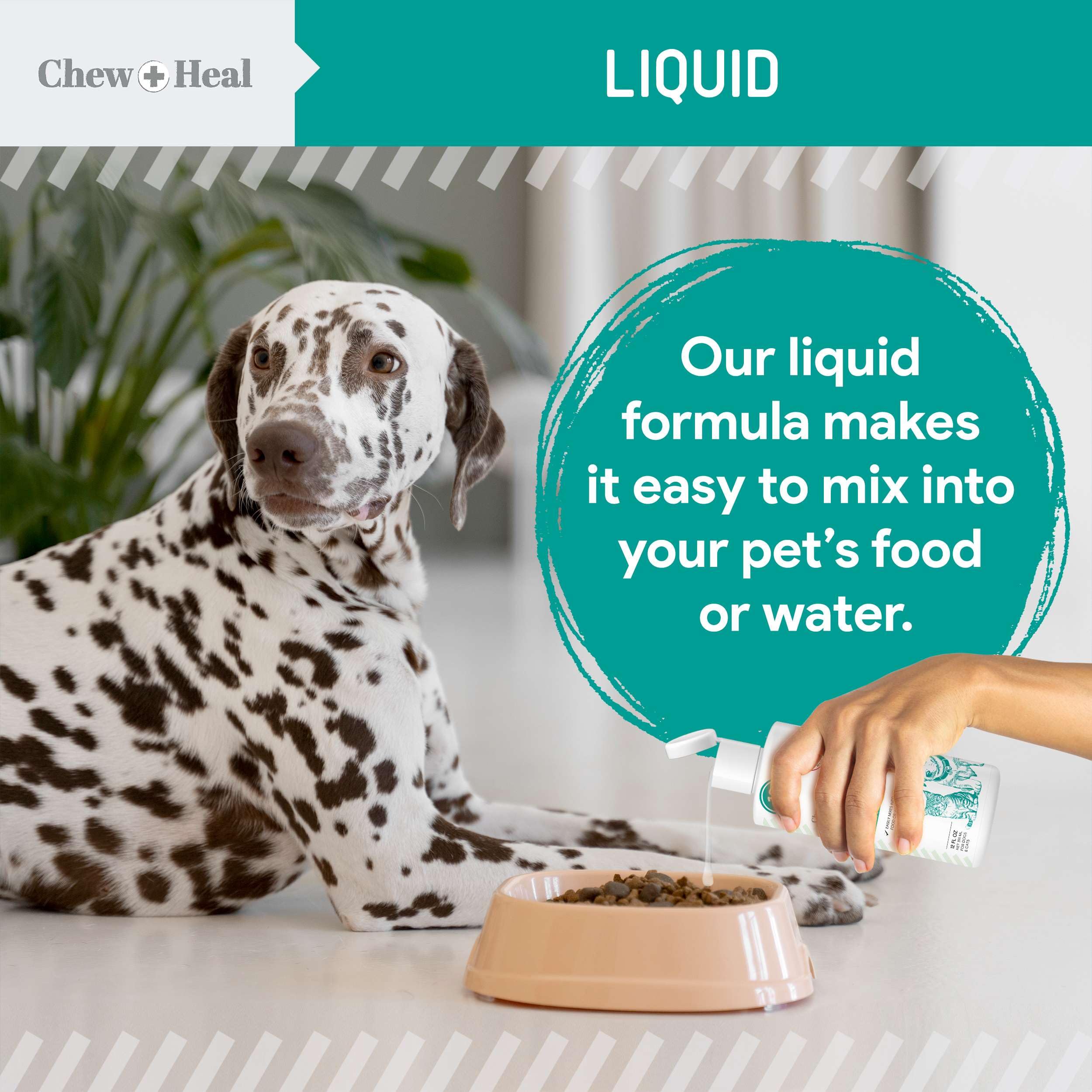 Chew + Heal Labs made in USA label on the bottle.