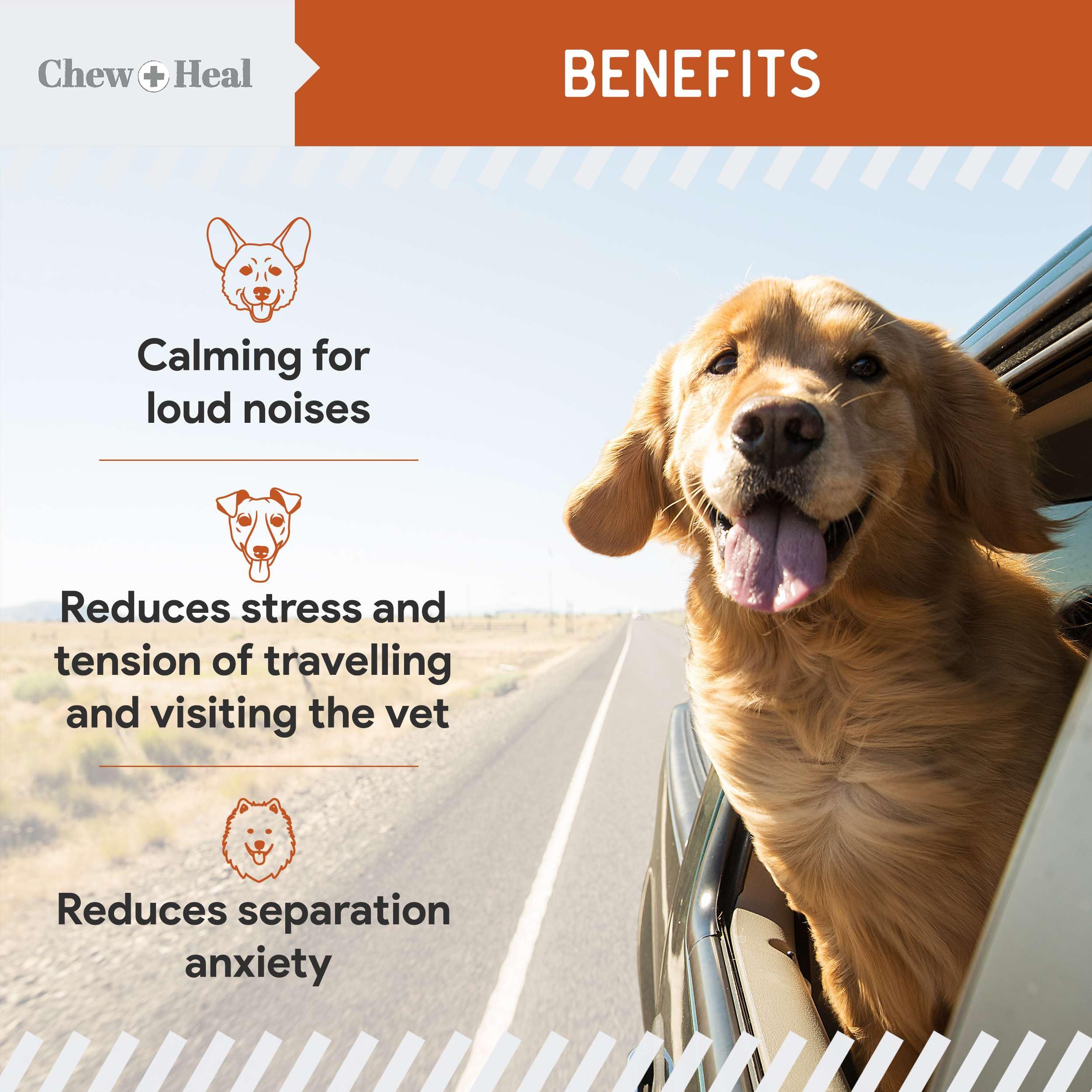 Chew + Heal Labs melatonin sleep-support chews help dogs settle at night.