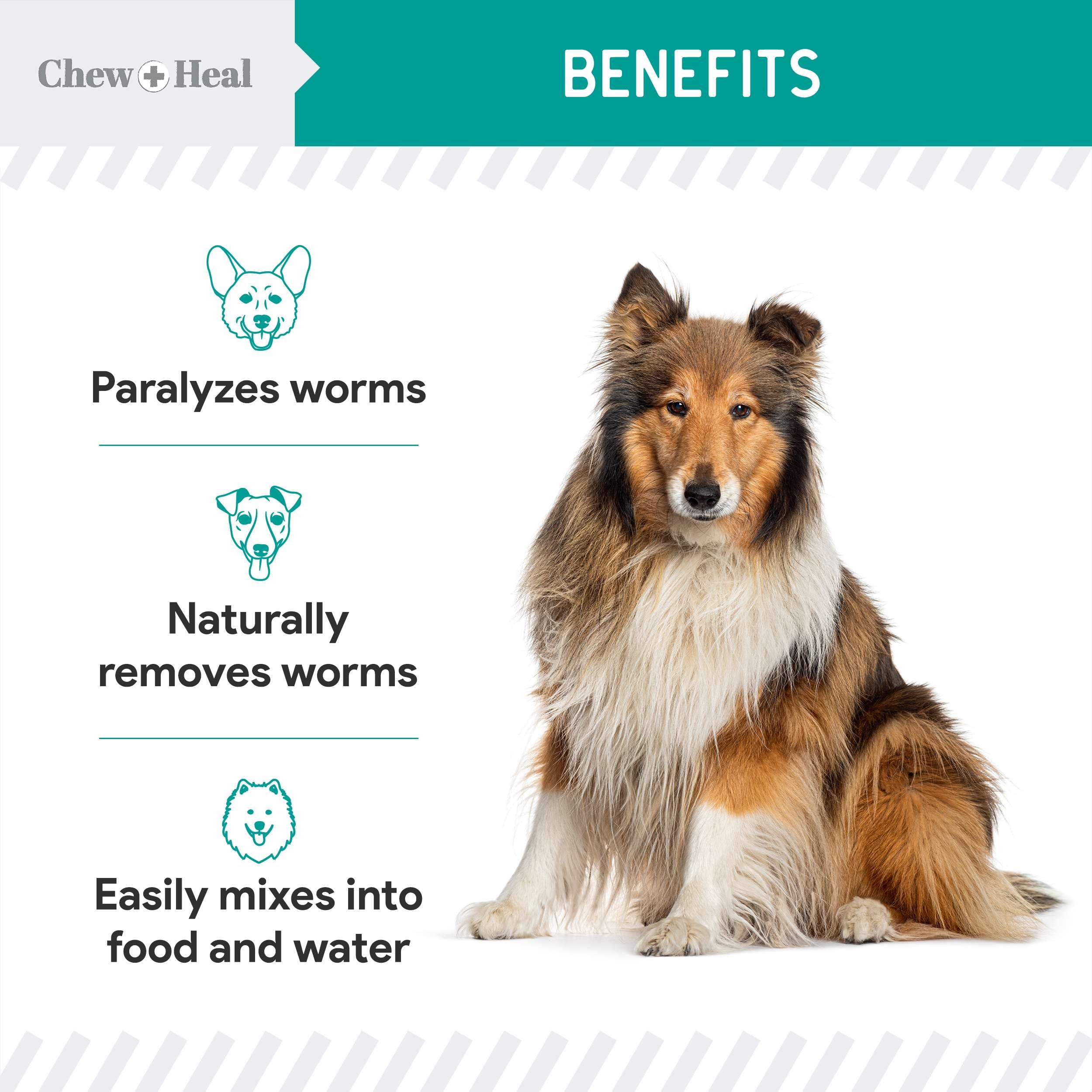 Chew + Heal Labs mix-into-food usage shows easy administration for pets.