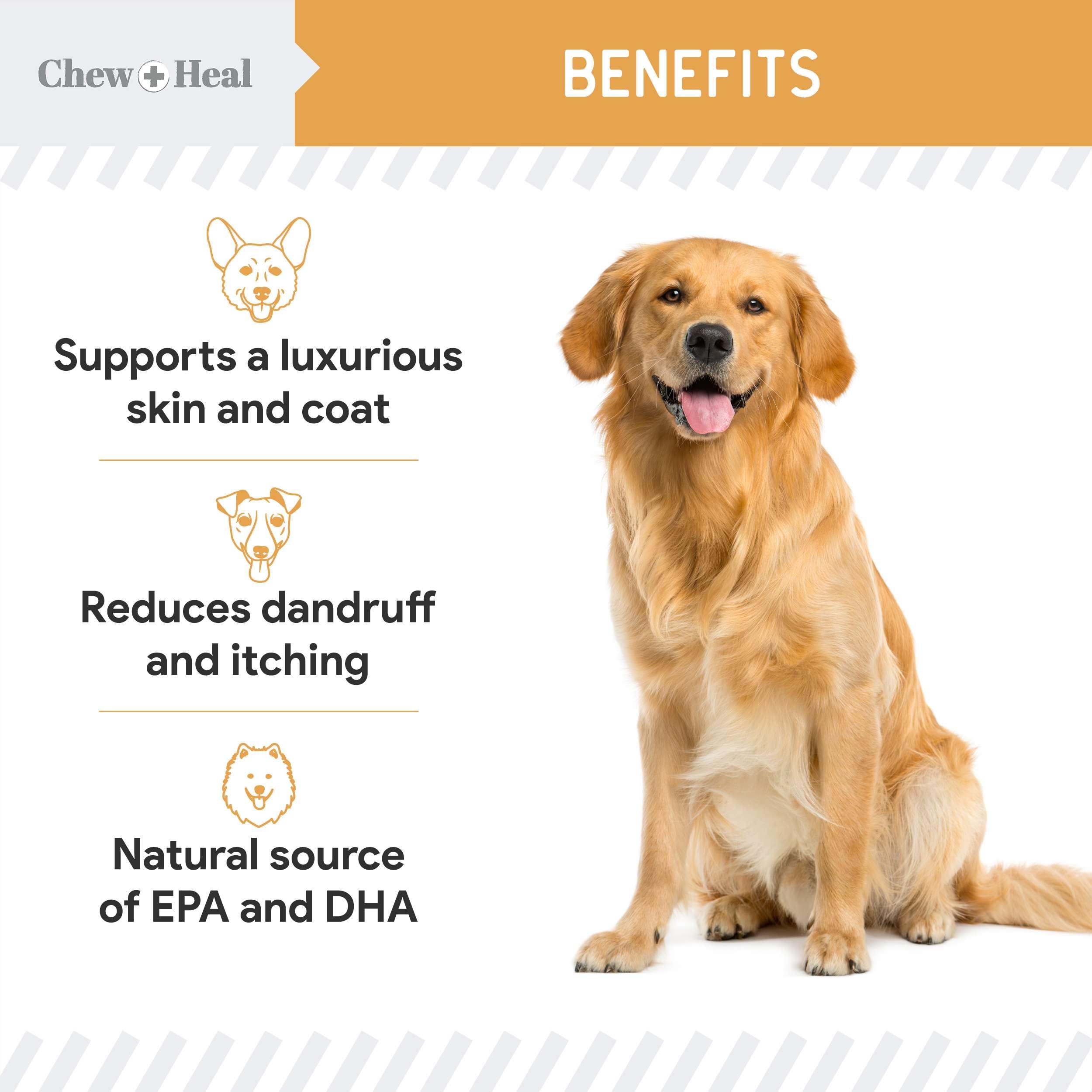 Oats ingredient image shows vitamins and minerals supporting skin and coat health.