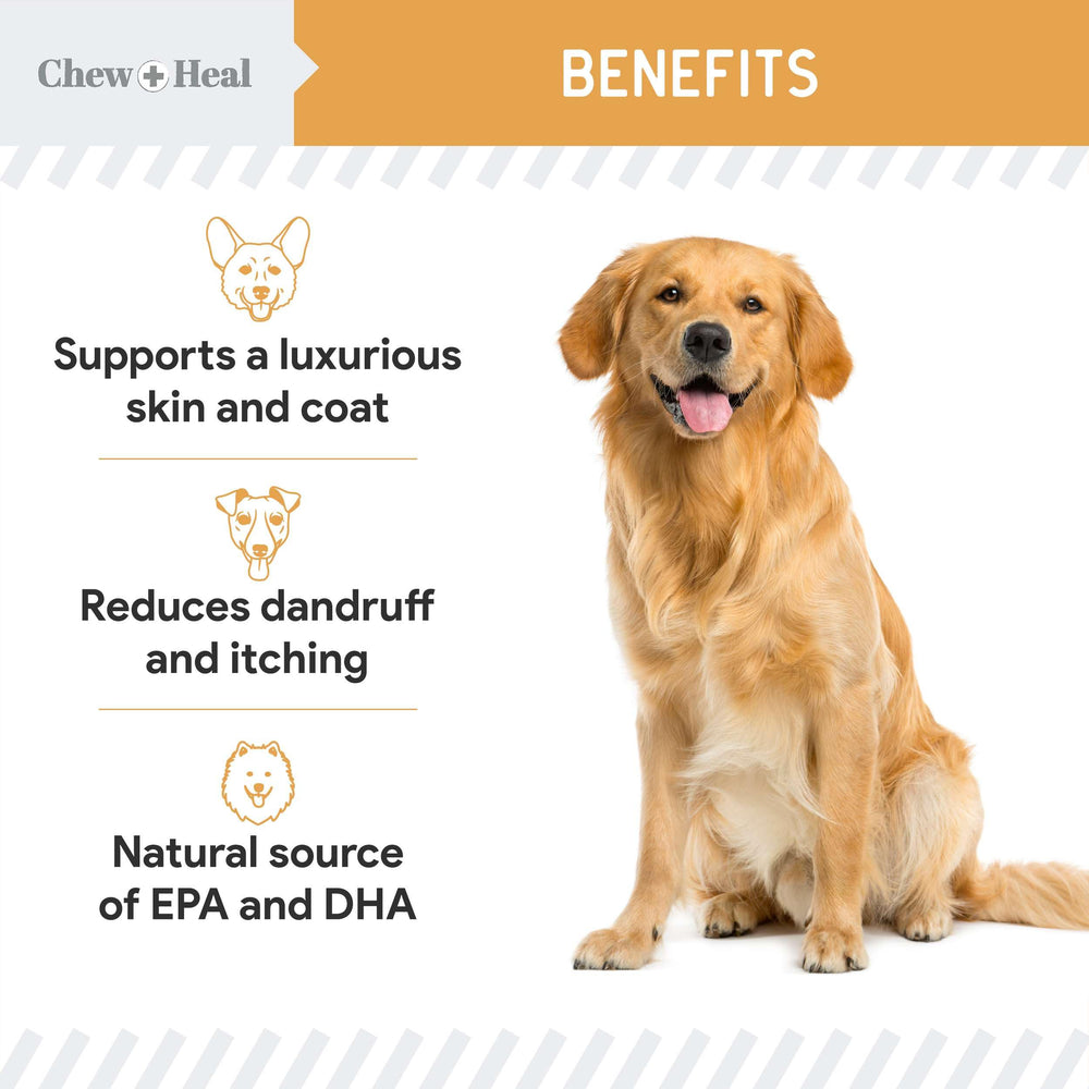 Oats ingredient image shows vitamins and minerals supporting skin and coat health.