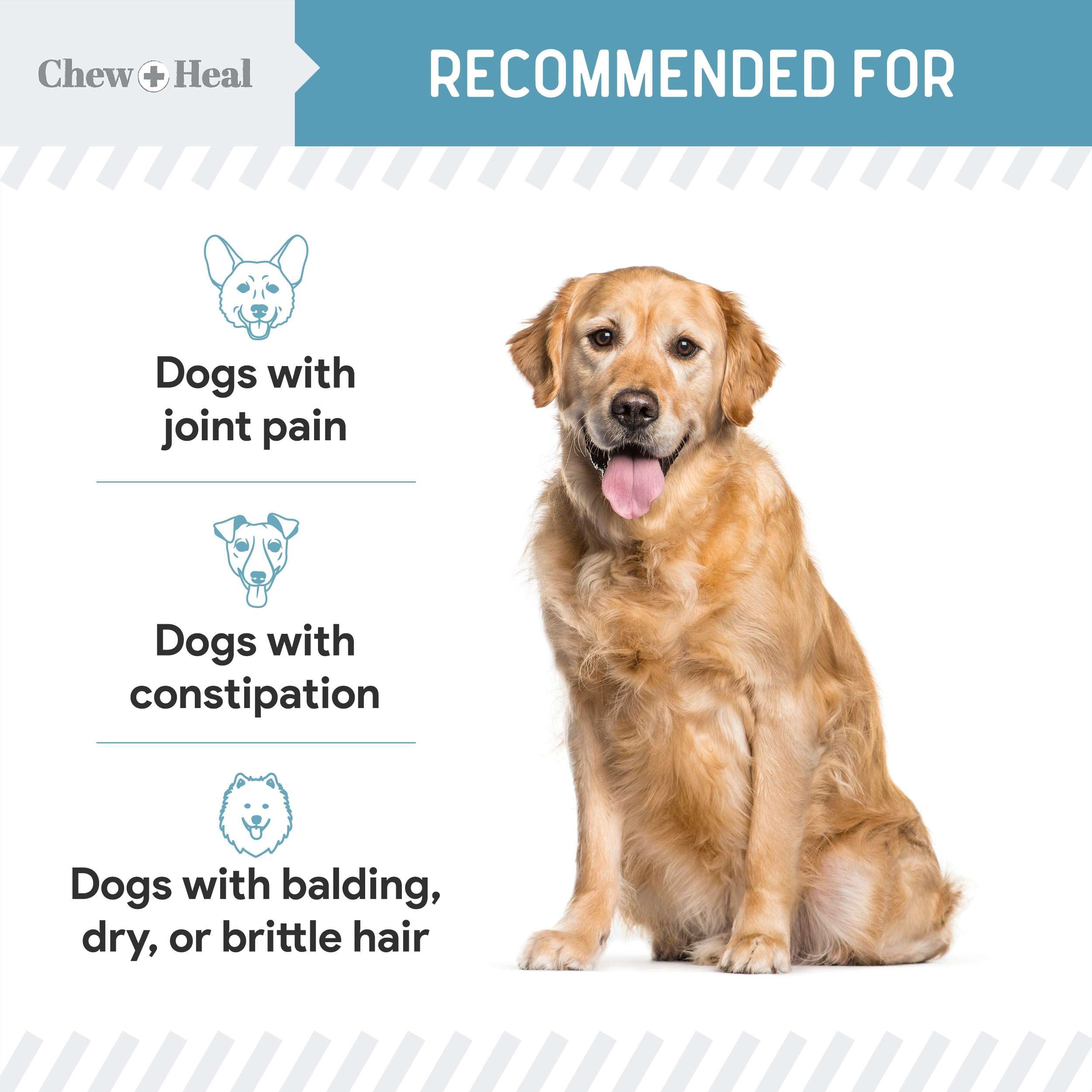 Chew + Heal Labs omega-3-6-9 coat-glow promotes healthy skin.