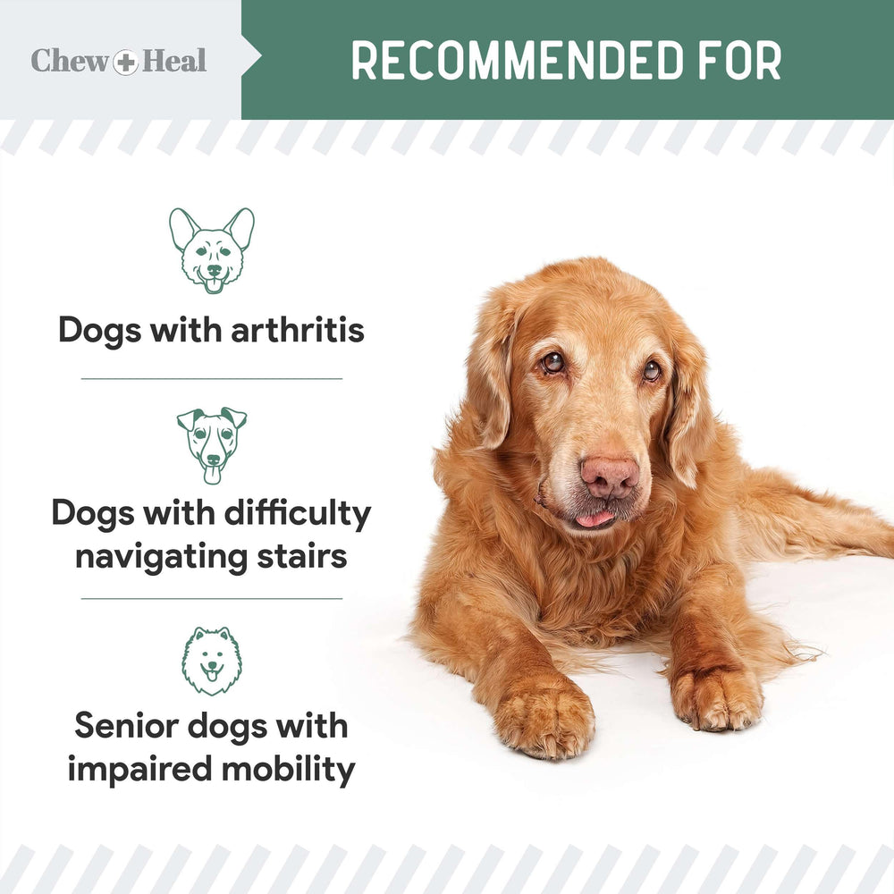 Chew + Heal Labs omega-3 features for joint support and healthy skin.