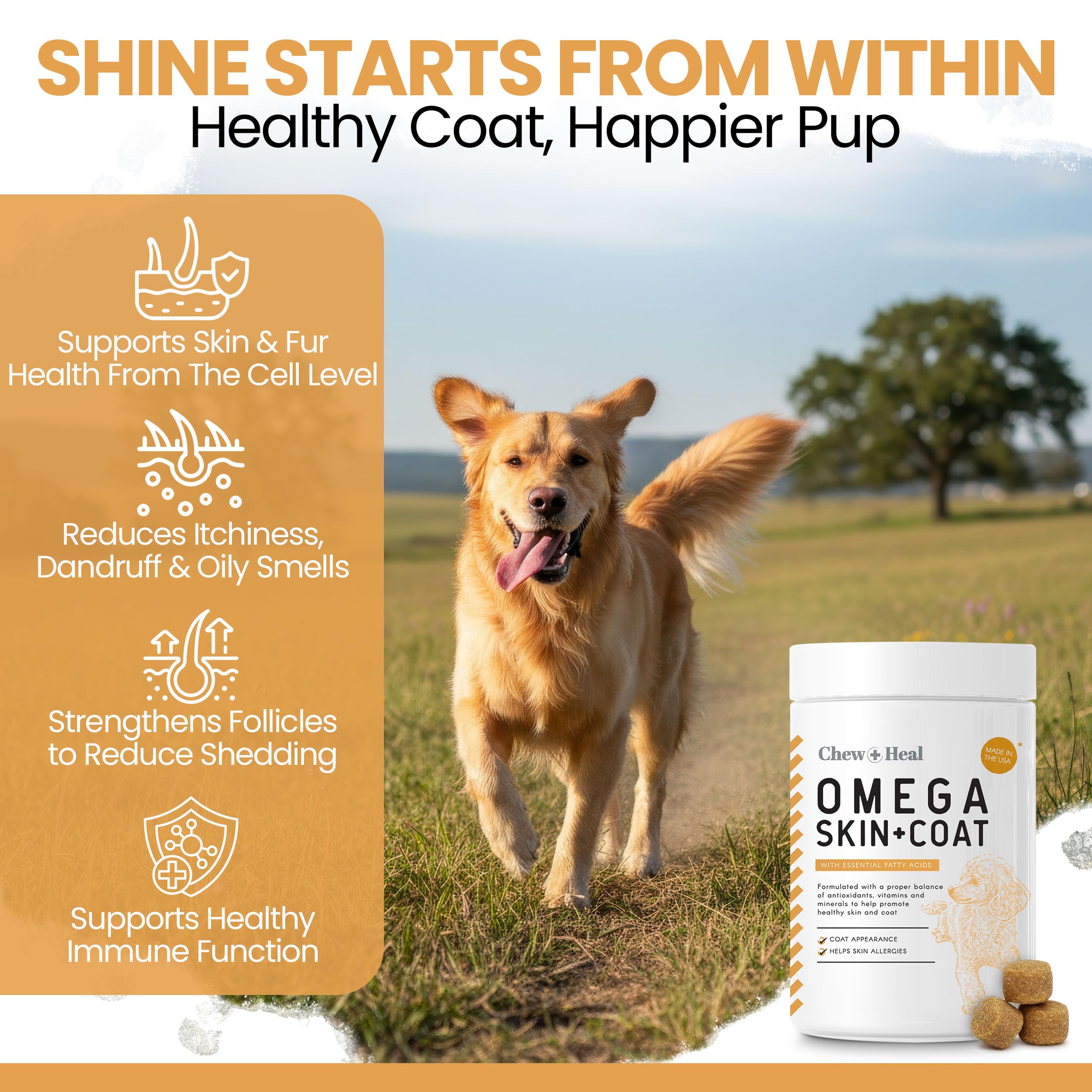 Chew + Heal Labs Omega dog coat shine demonstrates glossy fur and well-groomed appearance.