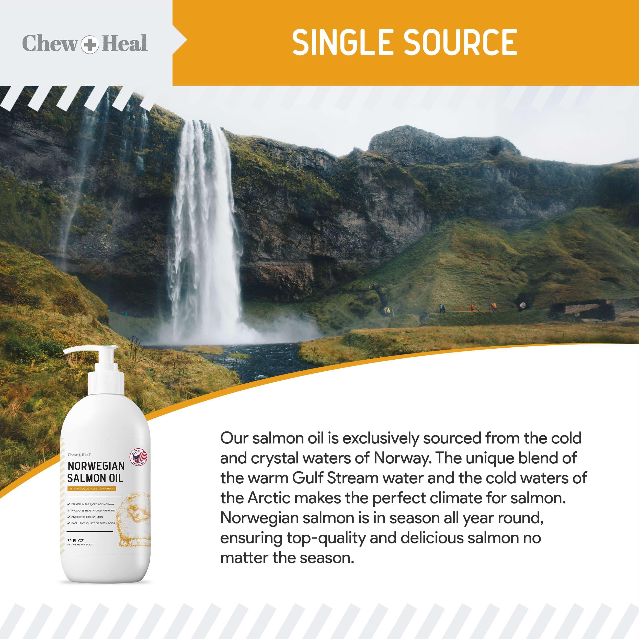 Chew + Heal Labs Salmon Oil served with dog meal for palatability