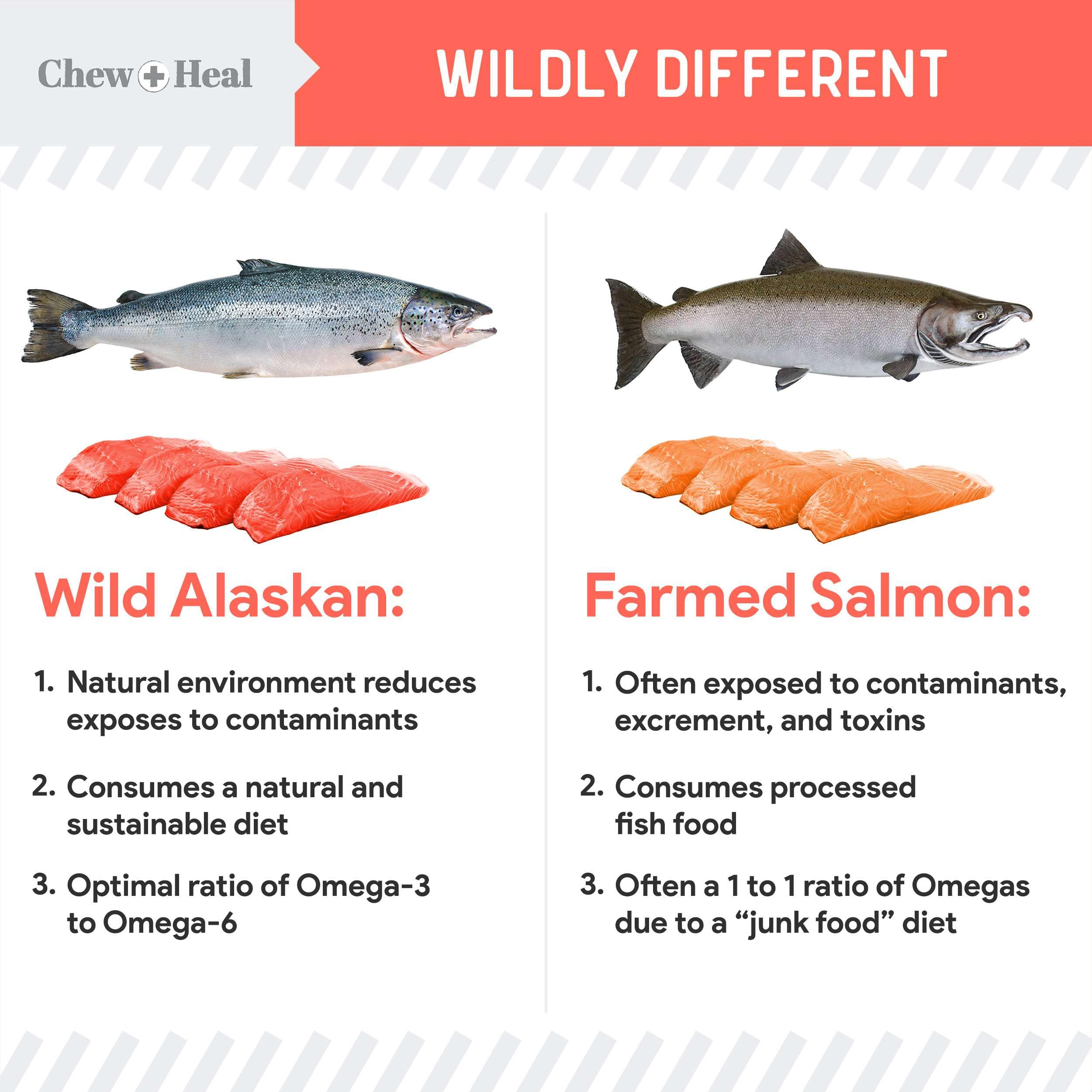 Chew + Heal Labs salmon oil suitable for dogs of all sizes for flexible daily use.
