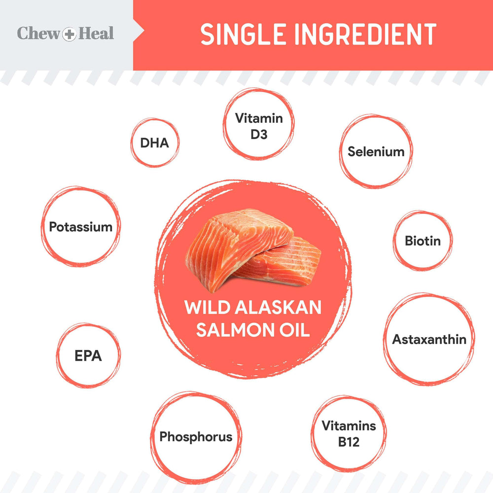 Chew + Heal Labs salmon oil being pumped for quick daily feeding routine.
