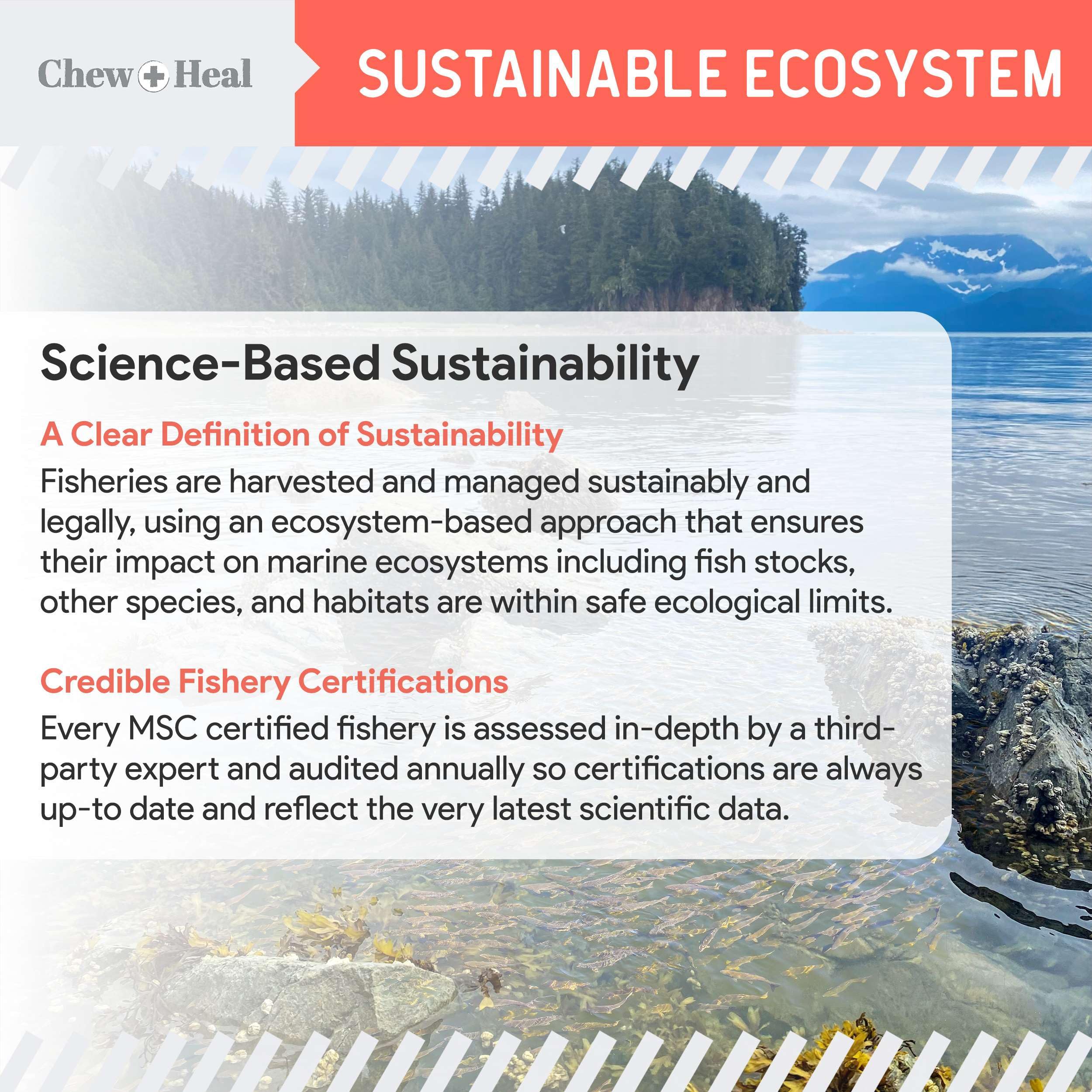 MSC-certified sustainable wild Alaskan salmon used in Chew + Heal Labs oil.