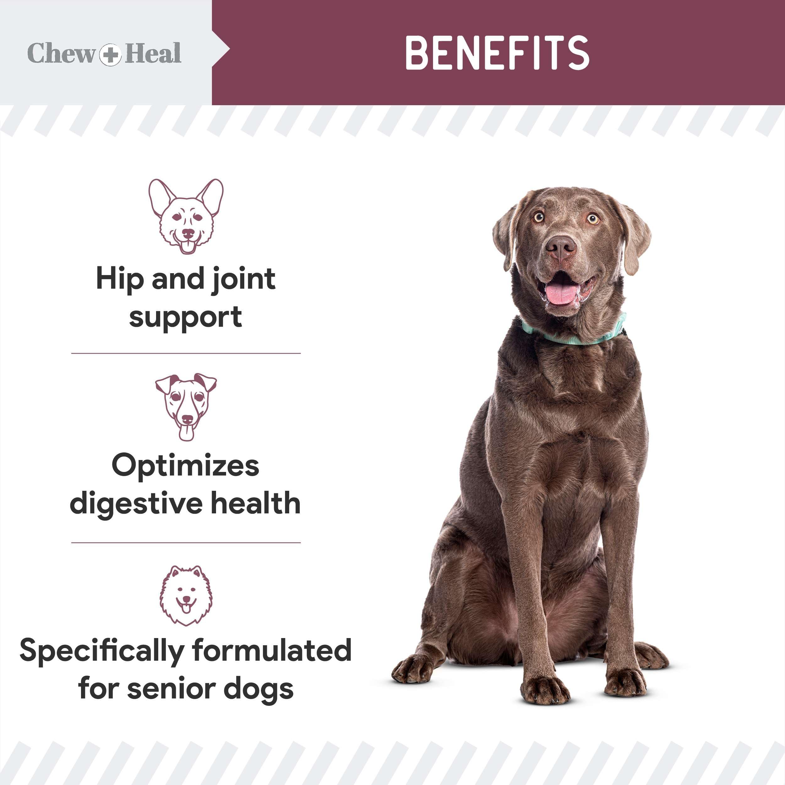 Chew Heal Labs omega blend image emphasizes skin and coat nourishment.