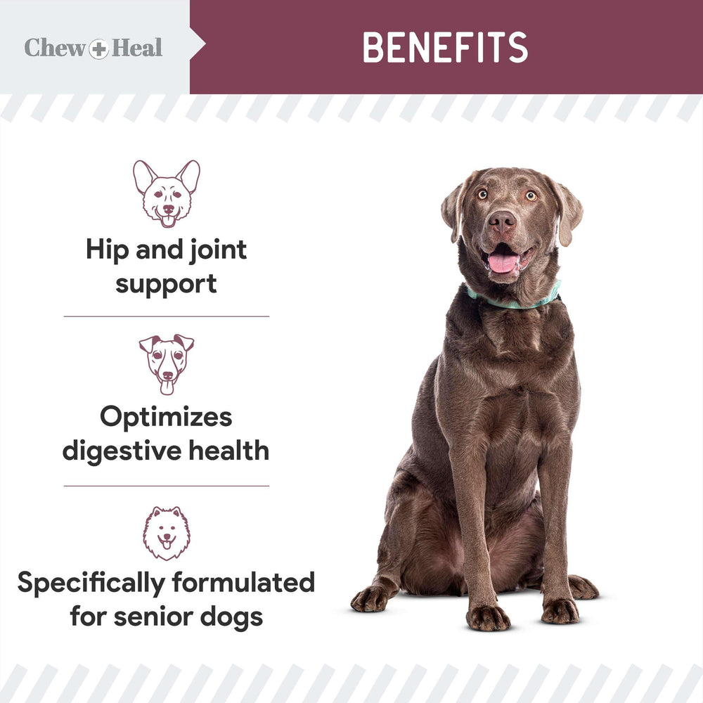 Chew Heal Labs omega blend image emphasizes skin and coat nourishment.