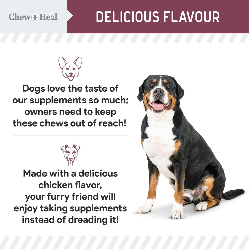 Chew Heal Labs glossy coat and skin focus demonstrates aging-dog vitality.