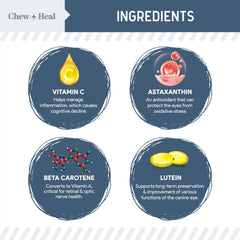Chew Heal Labs senior dog memory activity chews promote alertness during playtime.