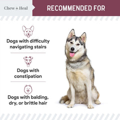 Chew Heal Labs probiotic blend visual suggests gut health support for everyday comfort.