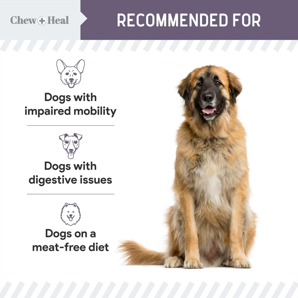 Chew + Heal Labs Senior Soft Jerky Salmon soft texture ideal for older dogs