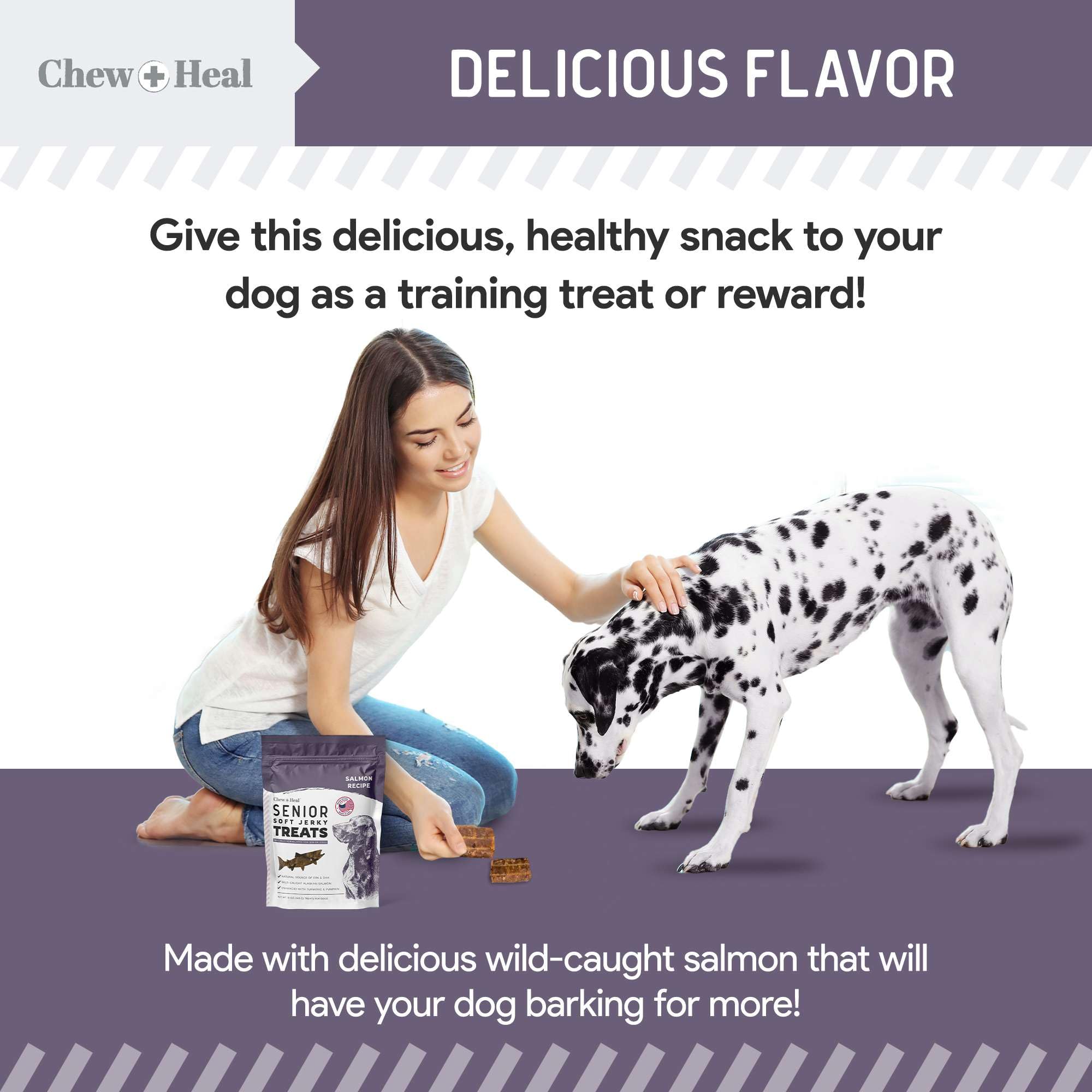 Chew + Heal Labs Seniors Soft Jerky Salmon bag labeled USA-made