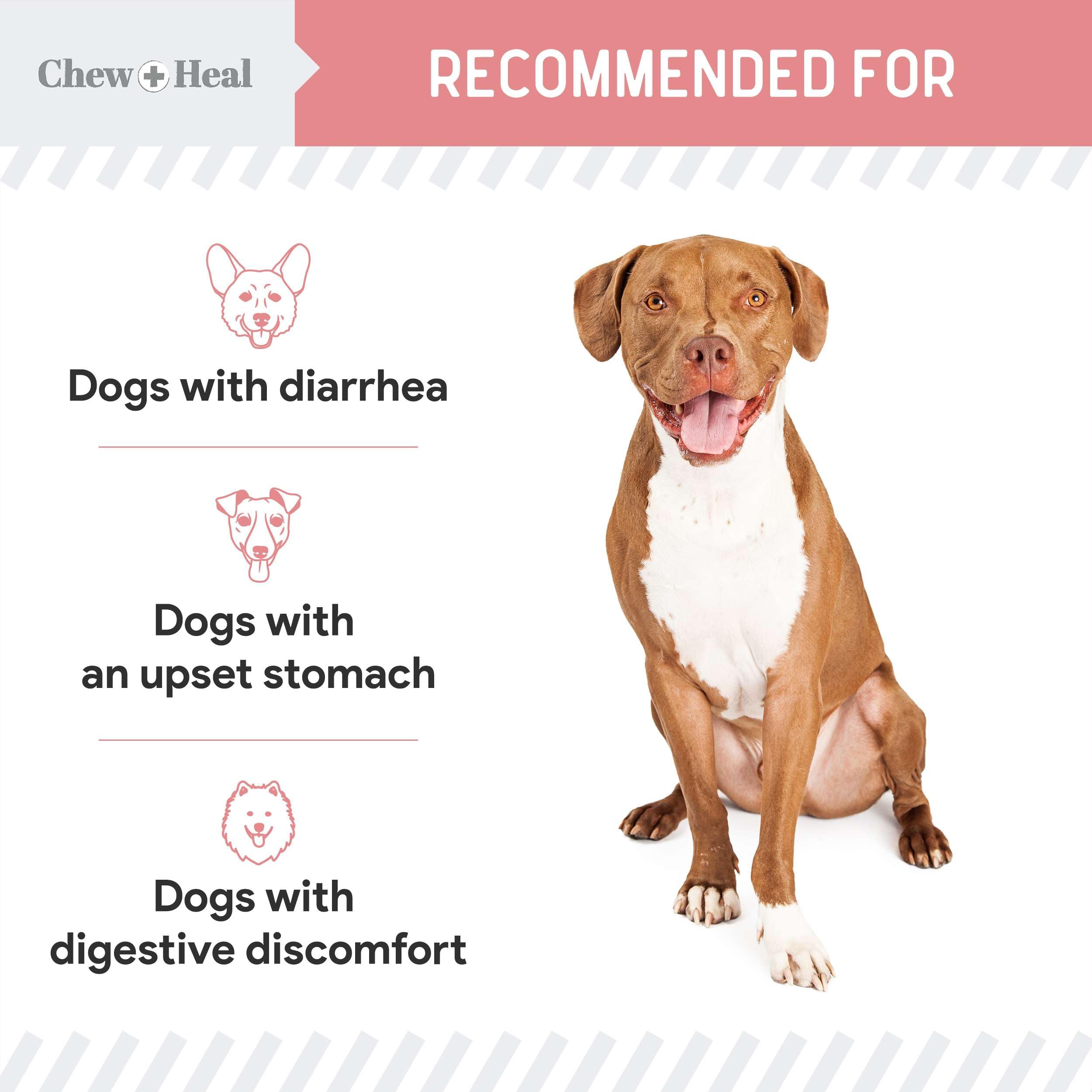 Chew + Heal Labs shake before use image guides proper preparation
