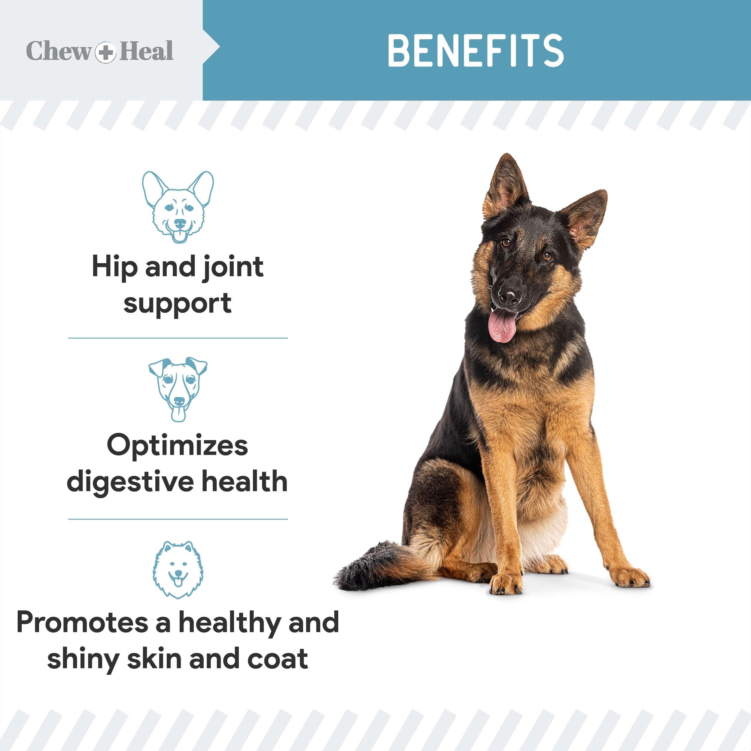 Chew + Heal Labs skin-coat nutrients reduce itch in aging dogs.