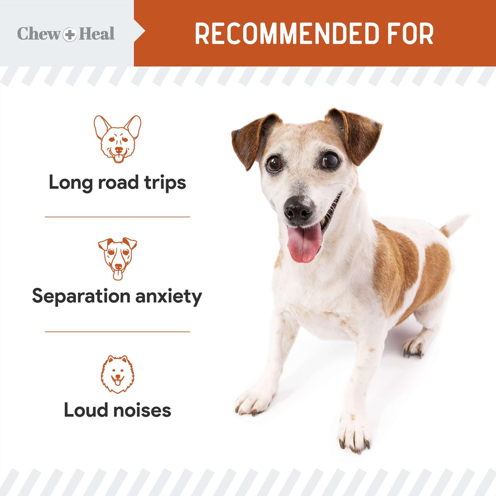Chew + Heal Labs soft-chew texture offers easy use for dogs of all sizes.