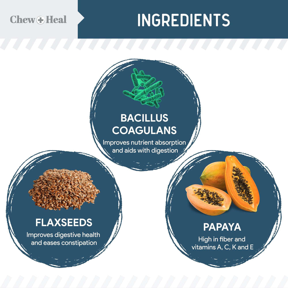 Chew + Heal Labs soft chicken-flavored chews ready for dogs.