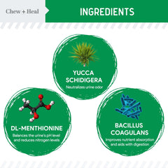 Chew + Heal Labs soft chews close-up; tasty formula for lawn health and dog palatability.