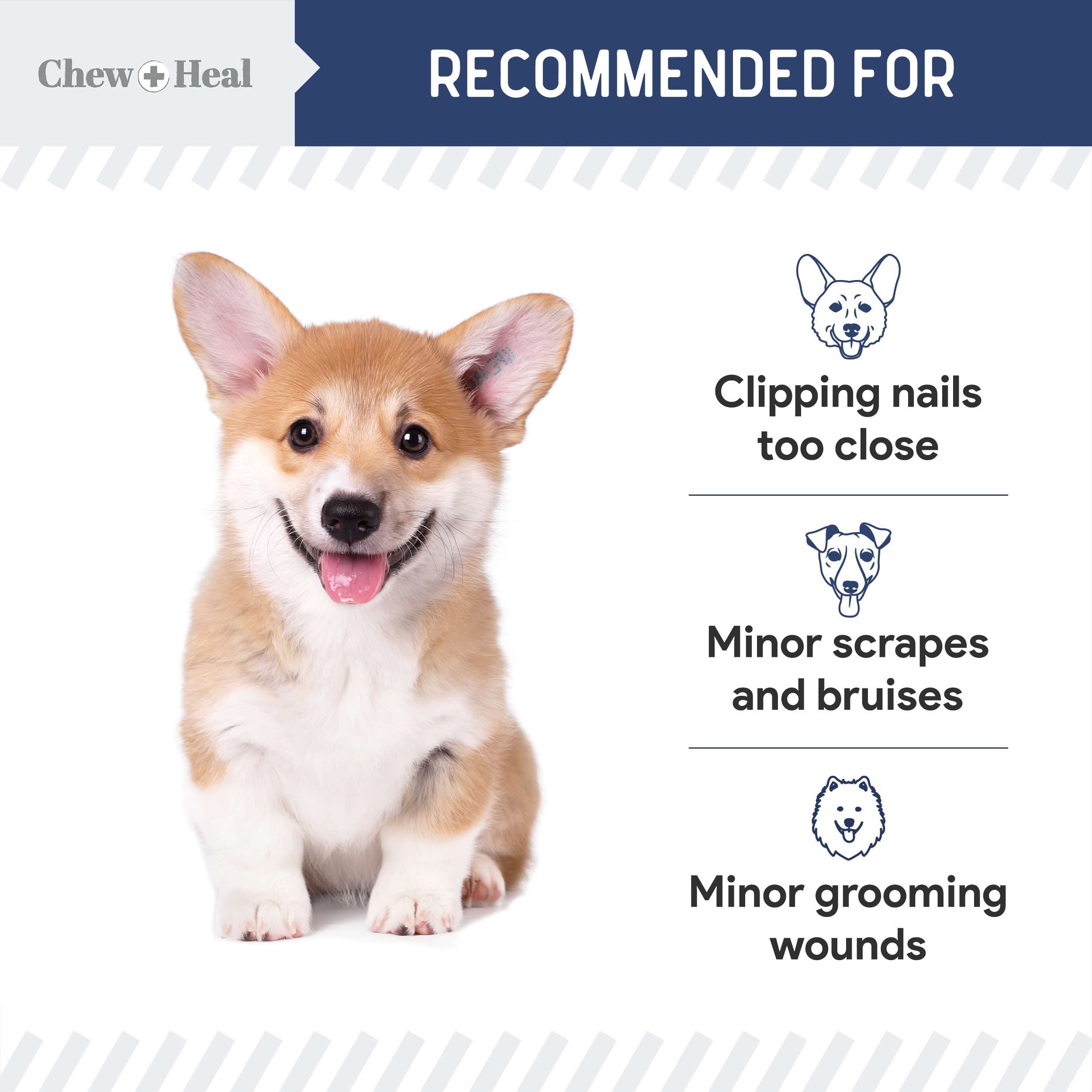 Chew + Heal Labs styptic powder grooming-kit image serves as essential tool for nails and minor cuts.