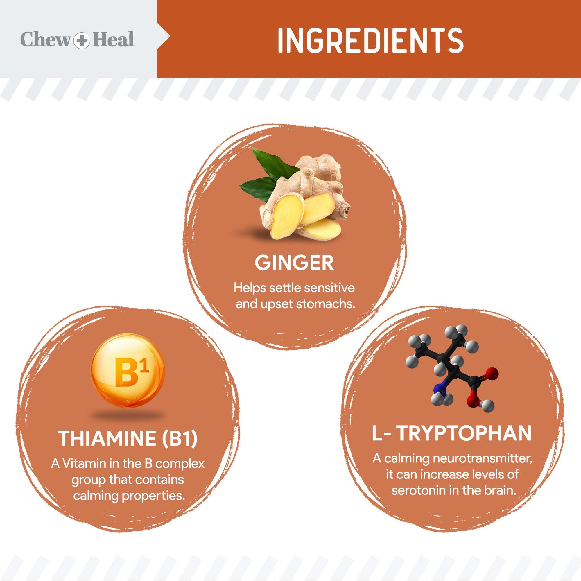 Chew + Heal Labs travel-friendly dog treats support calm behavior during vet visits and storms.