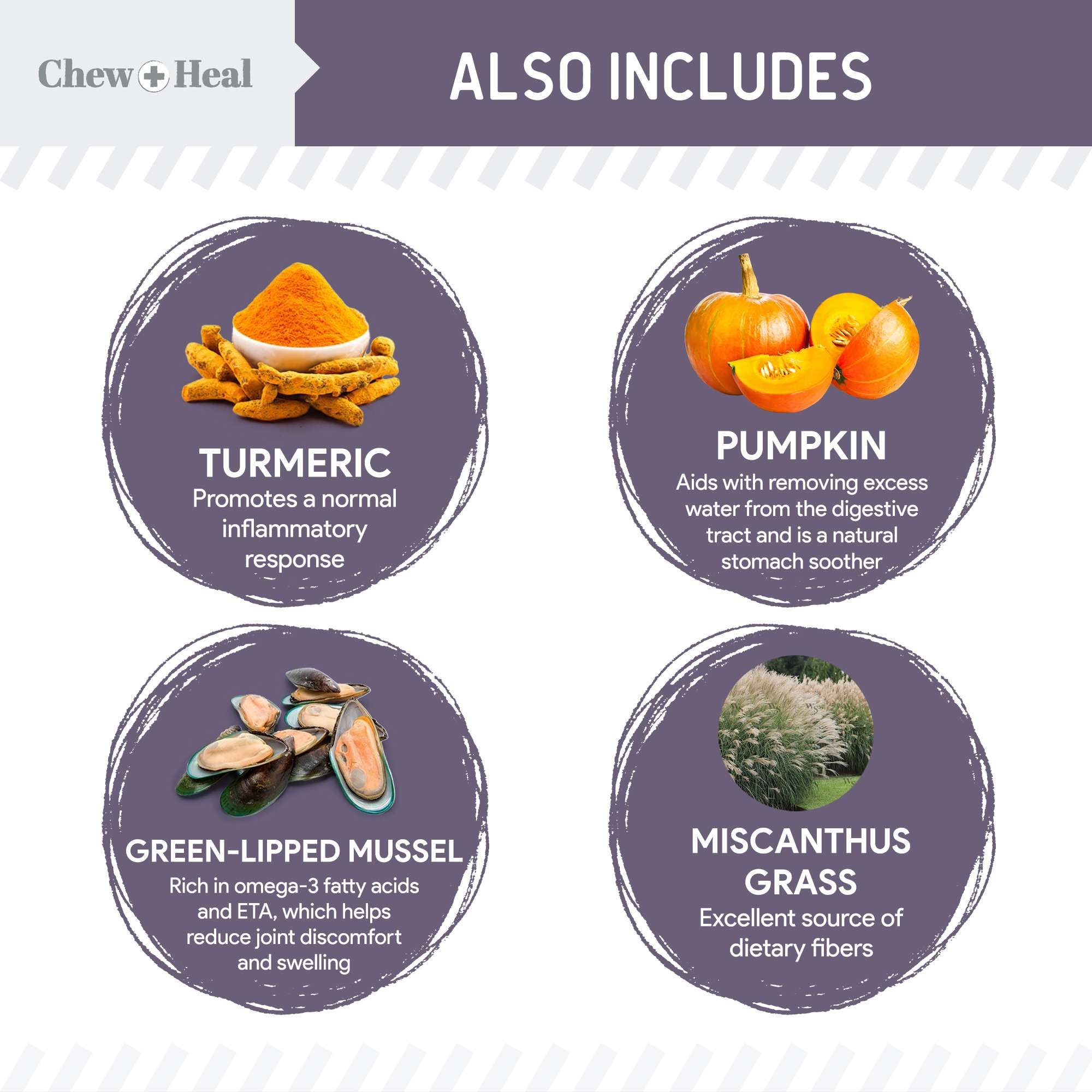 Chew + Heal Labs turmeric dog treats with pumpkin for digestion-friendly support.