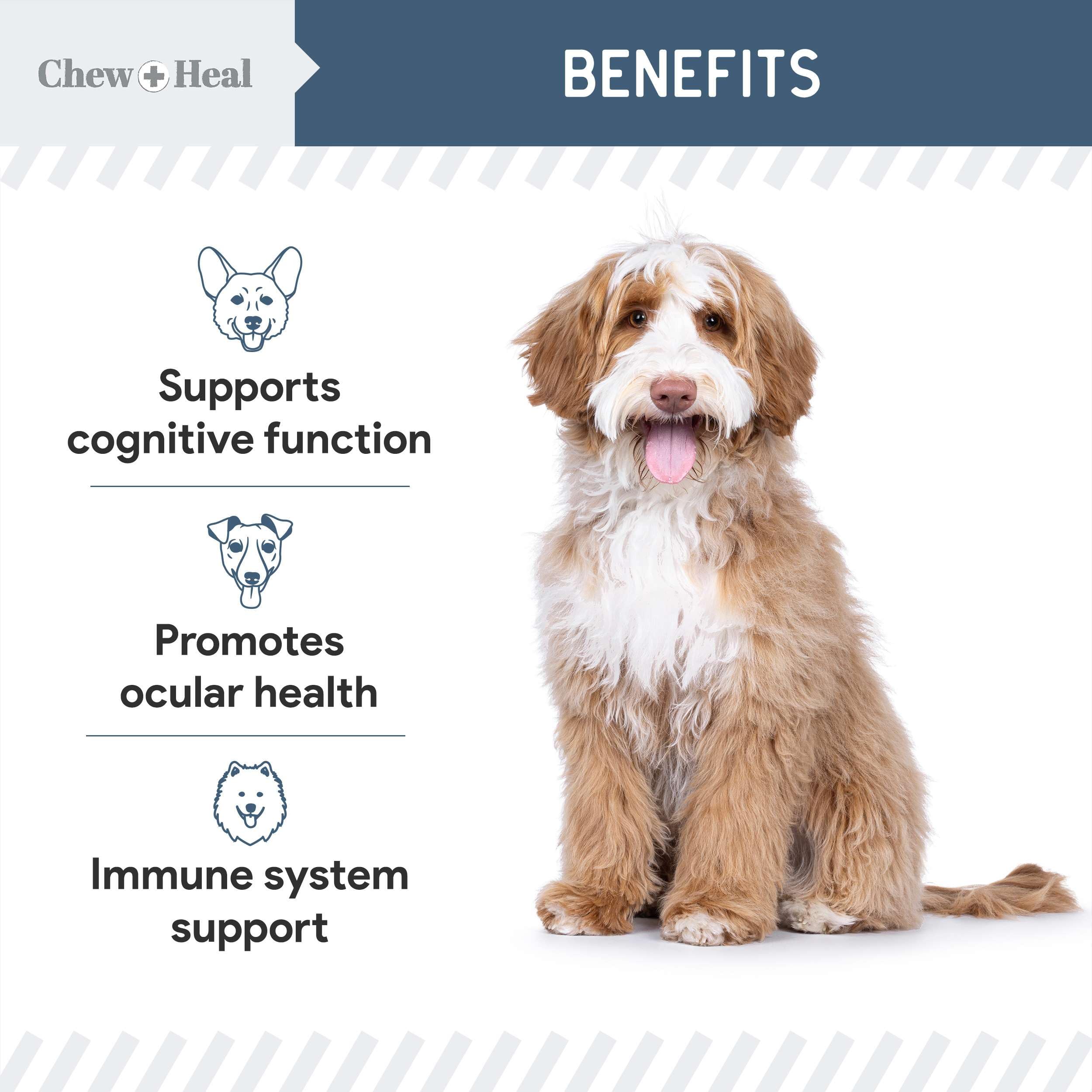 Chew Heal Labs vitamin C and turkey tail show antioxidant support for dogs.
