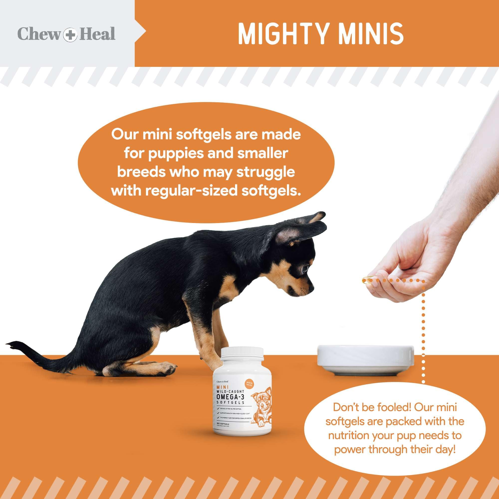 Chew + Heal Labs wild-caught salmon oil for dogs.