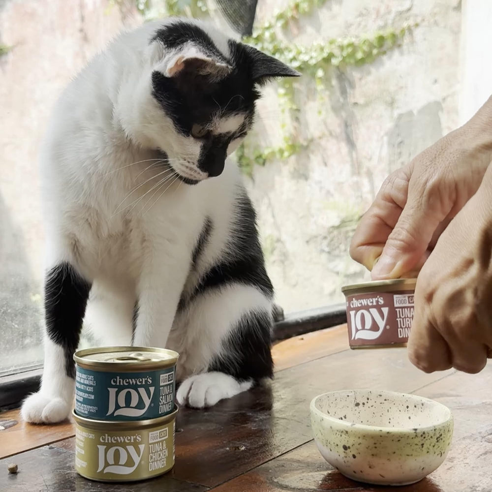 Chewer's Joy three-flavor variety to keep mealtime exciting.