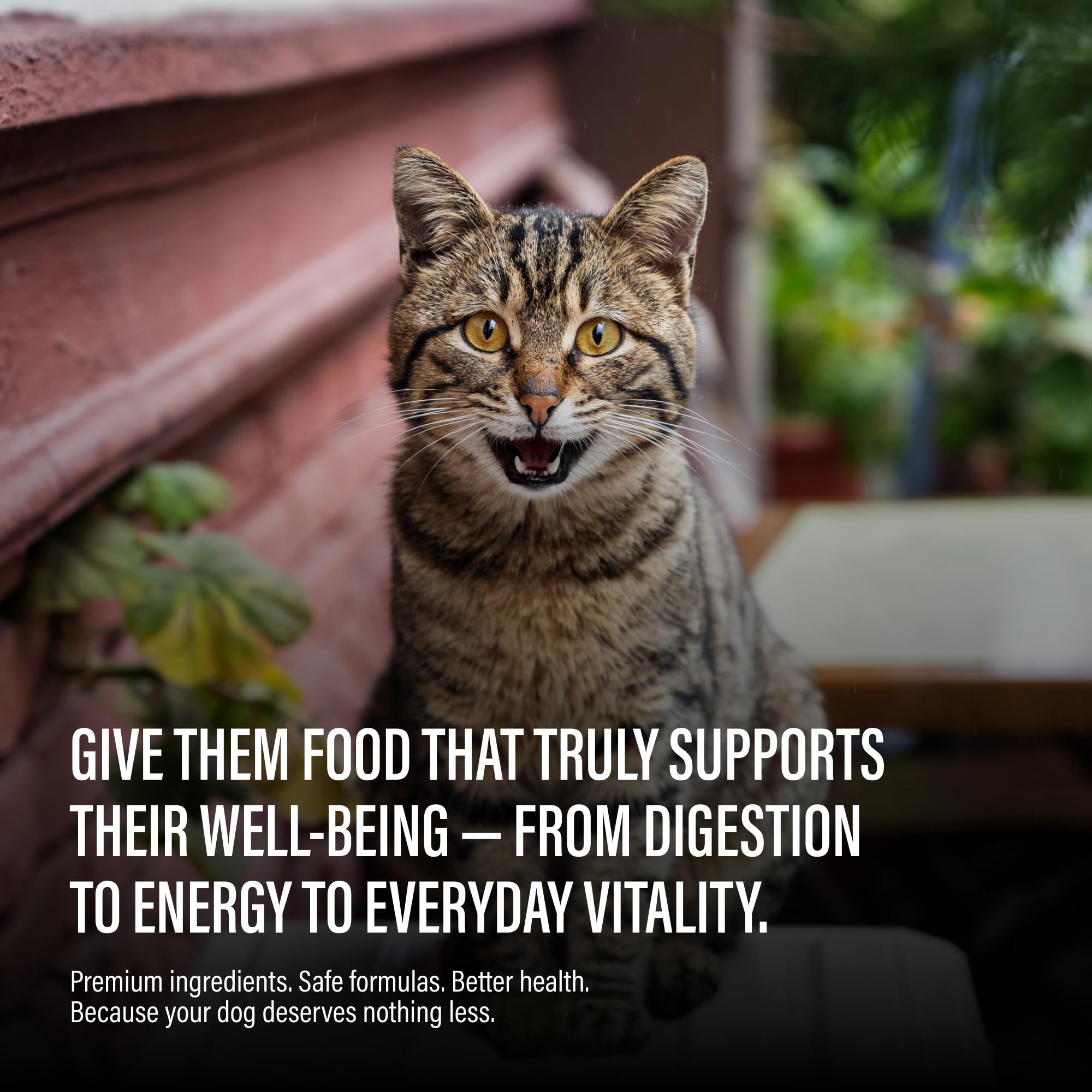 Chewer's Joy tuna-chicken can delivering variety and high protein.