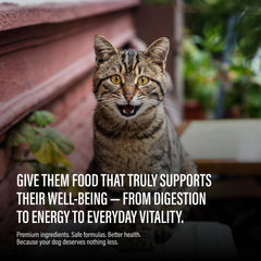 Chewer's Joy tuna-chicken can delivering variety and high protein.