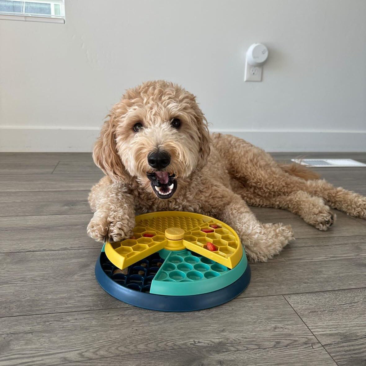 CHEWFFON suitable for small, medium, and large dogs with three spin layers.