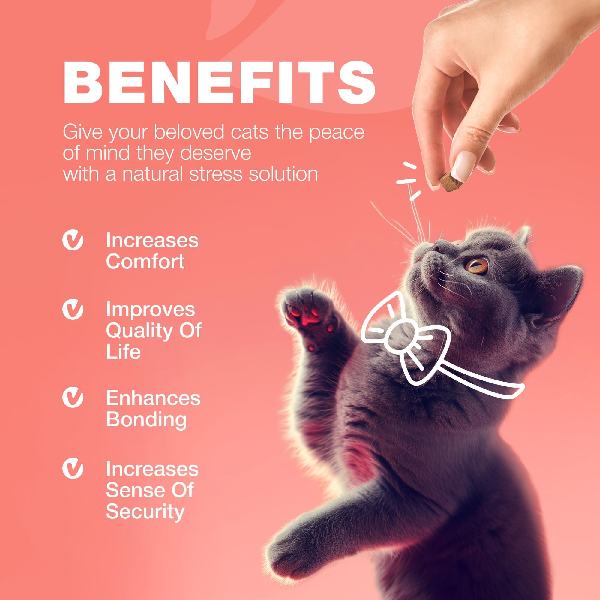 CHEWIA All-breeds packaging emphasizes suitability for kittens to seniors.